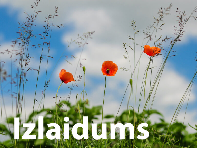 Pamatskolas un vidusskolas posma izlaidumi Daugavpils pilsētas izglītības iestādēs 2023. gadā