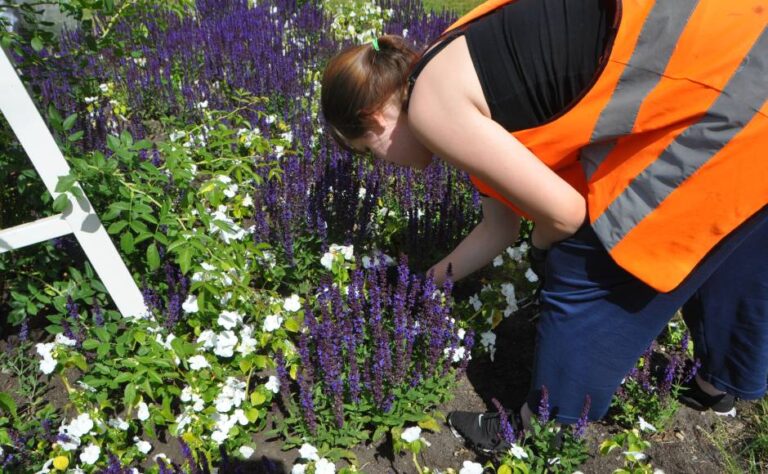 Daugavpils pašvaldība arī šovasar īstenos Jauniešu vasaras nodarbinātības programmu