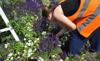 Šogad ieviestas izmaiņas Jauniešu vasaras nodarbinātības programmā
