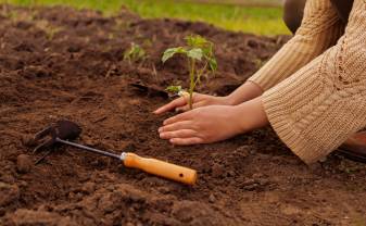 Sākusies dokumentu iesniegšana Skolēnu vasaras nodarbinātības programmai 15-19 gadus veciem jauniešiem